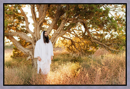 Our Tree of Life Gallery Wrap