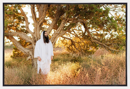 Our Tree of Life Gallery Wrap