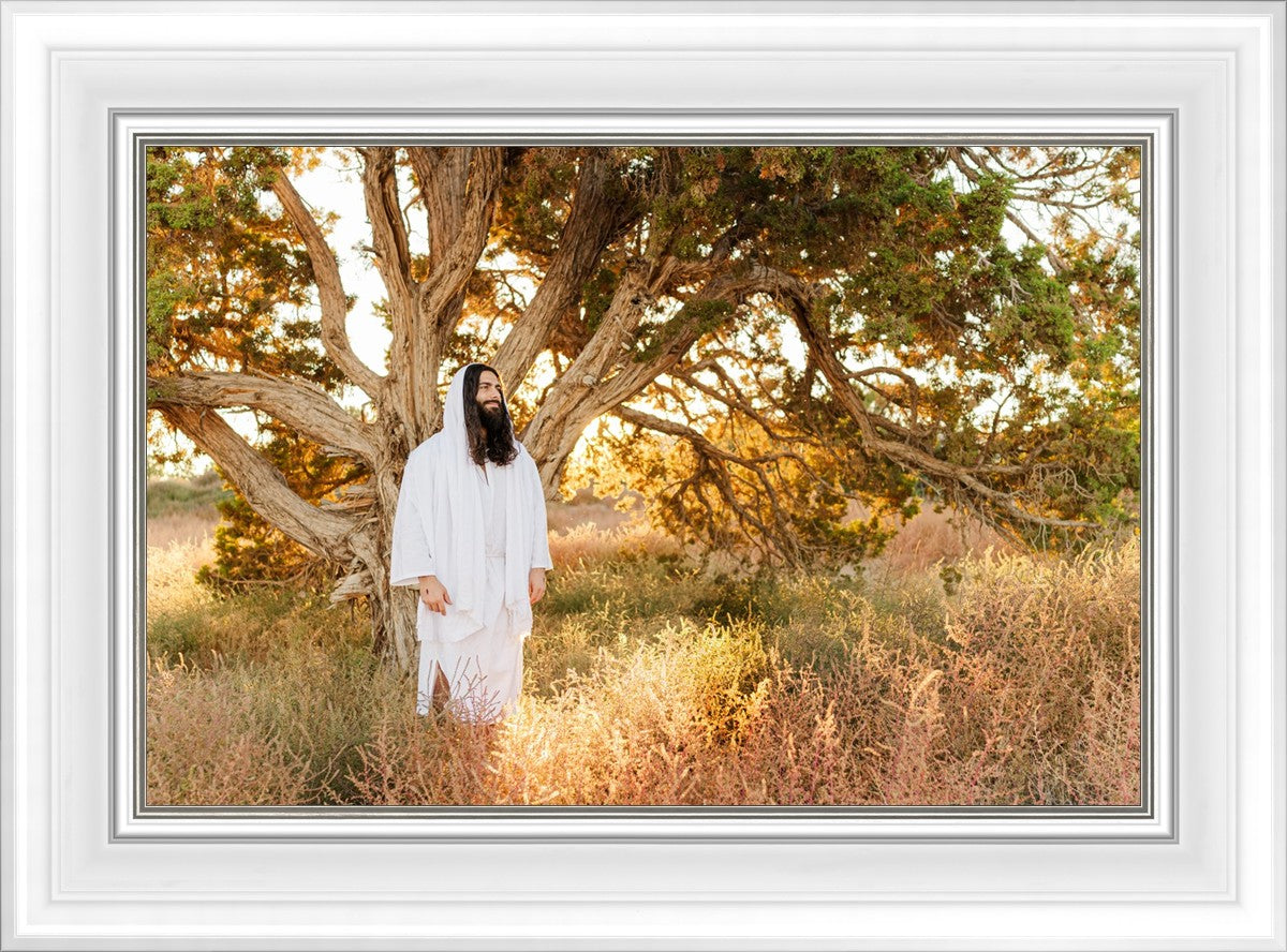 Our Tree of Life