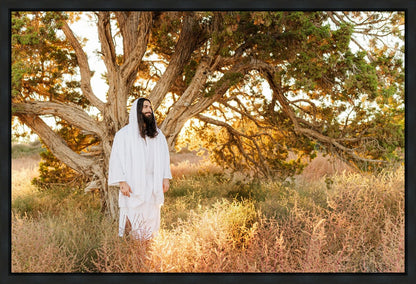 Our Tree of Life Gallery Wrap