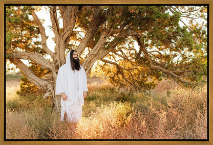 Our Tree of Life Gallery Wrap