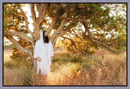 Our Tree of Life Gallery Wrap