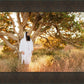 Our Tree of Life