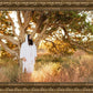 Our Tree of Life