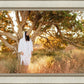 Our Tree of Life