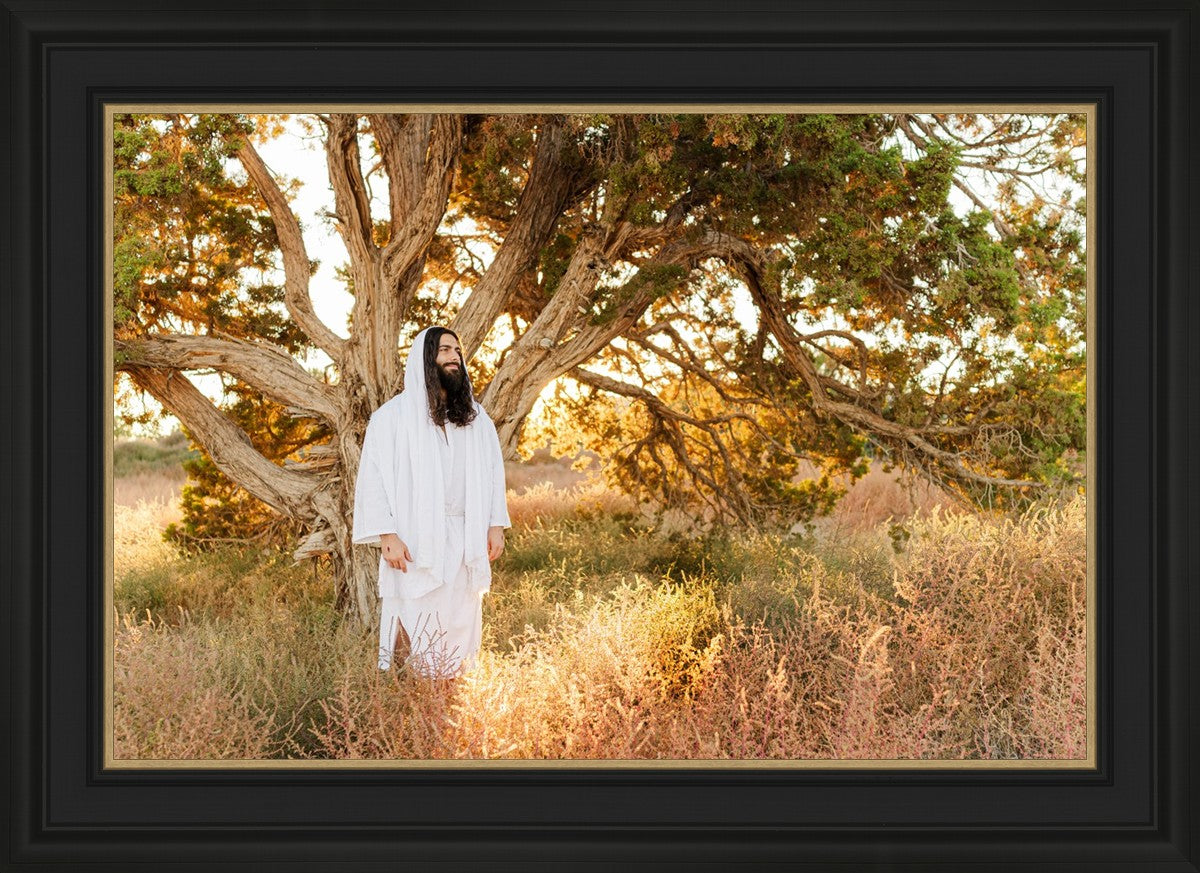 Our Tree of Life