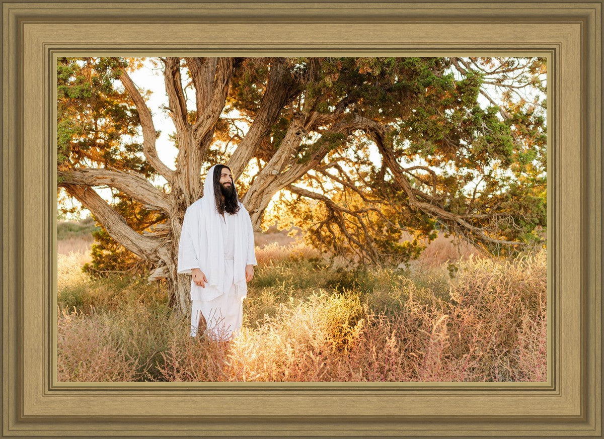 Our Tree of Life
