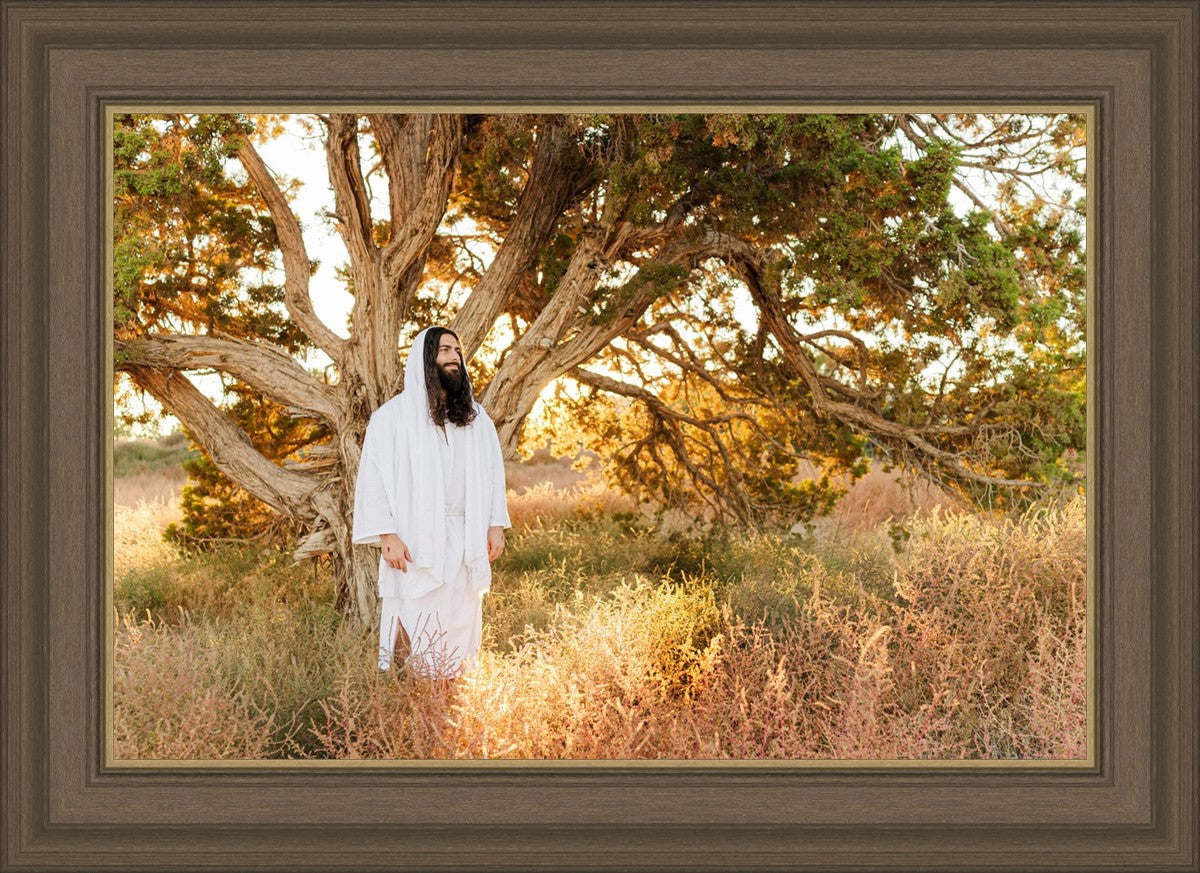 Our Tree of Life