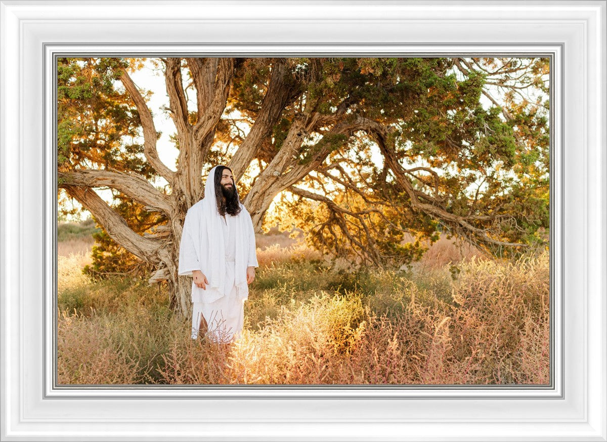 Our Tree of Life