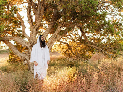 Our Tree of Life Gallery Wrap