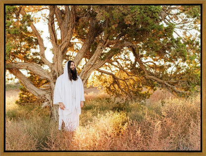 Our Tree of Life Gallery Wrap