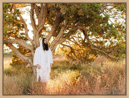 Our Tree of Life Gallery Wrap