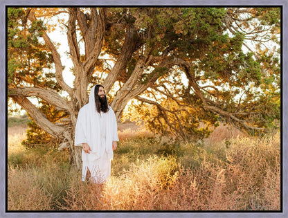 Our Tree of Life Gallery Wrap