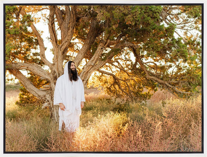 Our Tree of Life Gallery Wrap