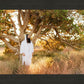 Our Tree of Life