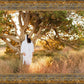 Our Tree of Life