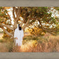 Our Tree of Life