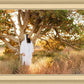 Our Tree of Life