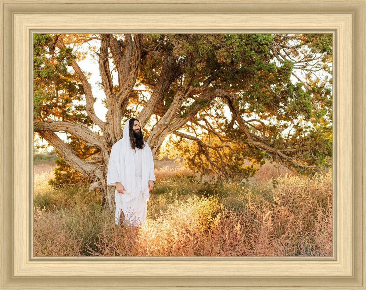 Our Tree of Life