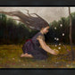 Catching Butterflies