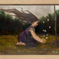Catching Butterflies