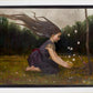 Catching Butterflies