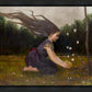 Catching Butterflies