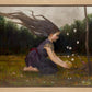 Catching Butterflies