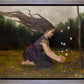 Catching Butterflies