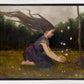 Catching Butterflies