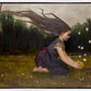 Catching Butterflies