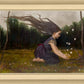 Catching Butterflies