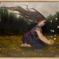Catching Butterflies