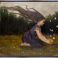 Catching Butterflies