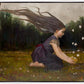 Catching Butterflies