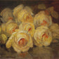 Yellow Roses