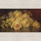Yellow Roses