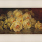 Yellow Roses