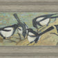 Magpies with Cattle Skull