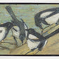 Magpies with Cattle Skull