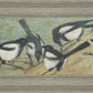 Magpies with Cattle Skull