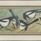 Magpies with Cattle Skull