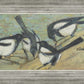 Magpies with Cattle Skull