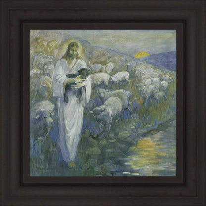 Rescue Of The Lost Lamb