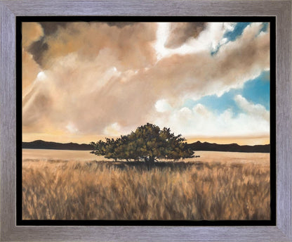 Having Faith During the Storm