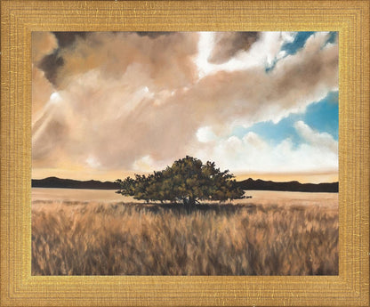 Having Faith During the Storm