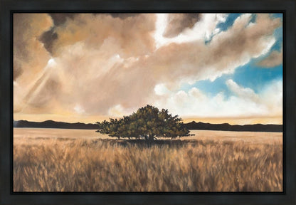 Having Faith During the Storm