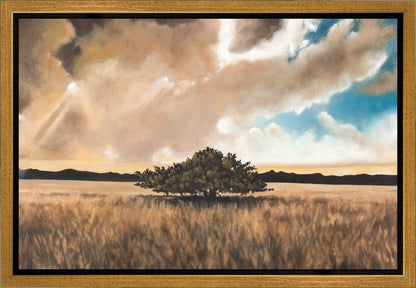 Having Faith During the Storm