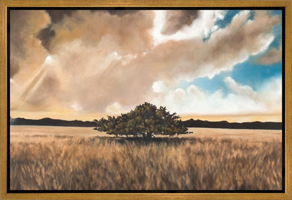 Having Faith During the Storm