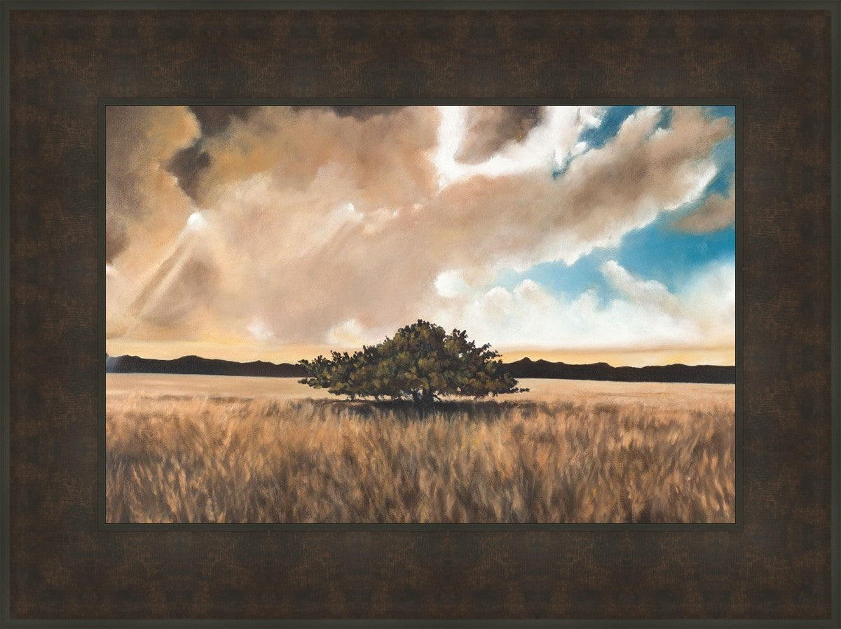 Having Faith During the Storm